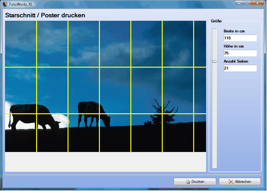 Bilder Als Poster Drucken Software Download